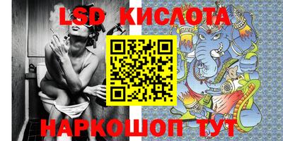 прущие грибы Кингисепп