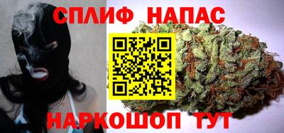 прущие грибы Кингисепп