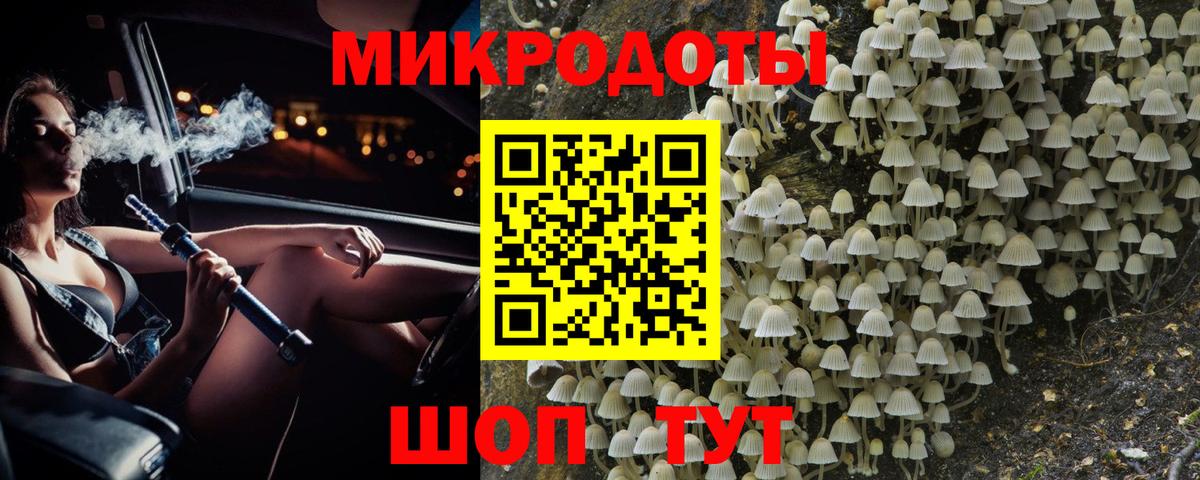 Псилоцибиновые грибы GOLDEN TEACHER Кстово